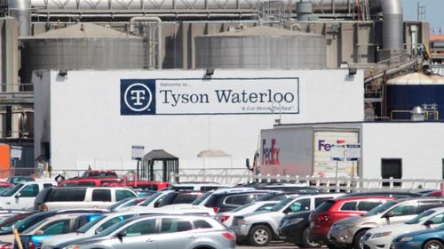 聚眾扎堆,美國(guó)多地疫情反彈 新西蘭麥當(dāng)勞凌晨5點(diǎn)排長(zhǎng)隊(duì) 專家急了 莫要放松