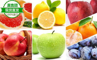 供應(yīng) 寧波食品進(jìn)口報(bào)關(guān)貿(mào)易代理